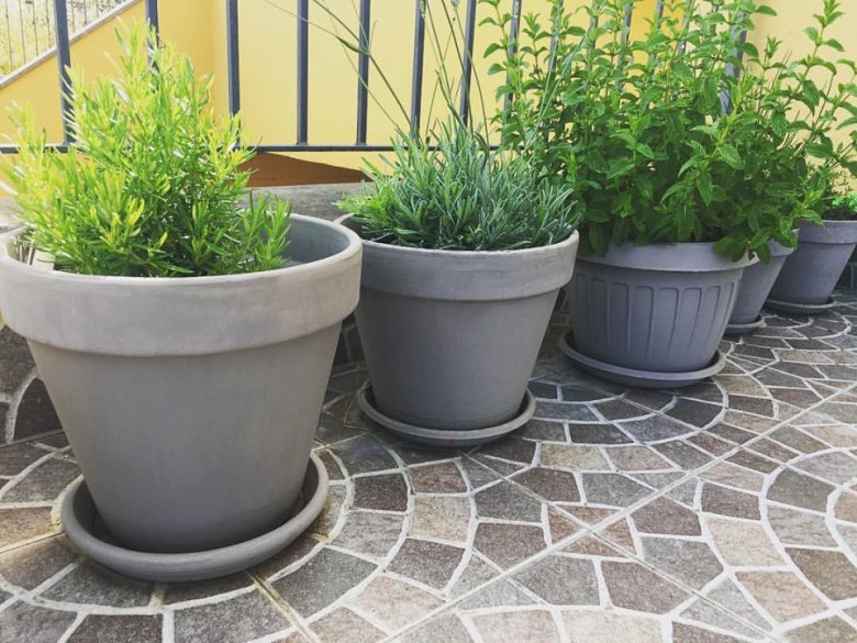 18953167_1748068525209349_9218720614864492265_o copia