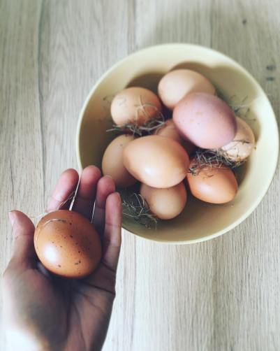 19452800_1770359046313630_6944759243221622873_o