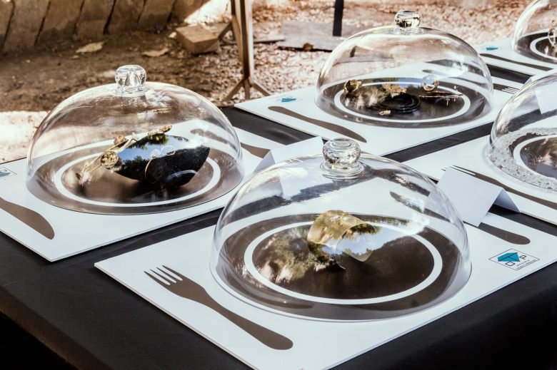 20232849_827789647389445_8091238876190804963_o